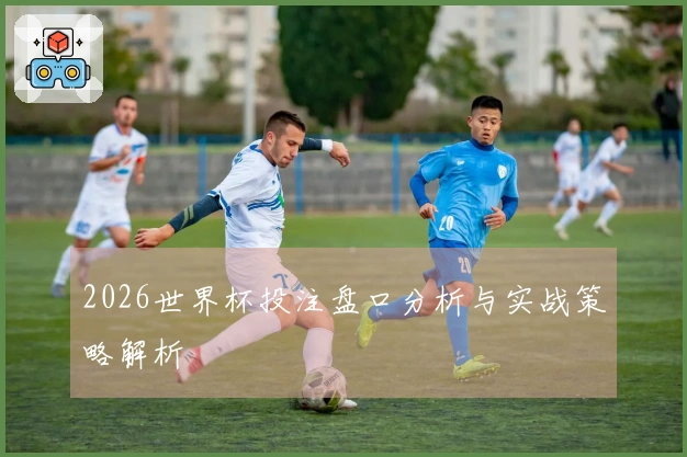 2026世界杯投注盘口分析与实战策略解析