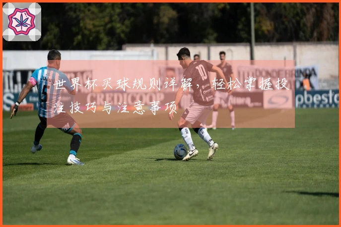 世界杯买球规则详解，轻松掌握投注技巧与注意事项