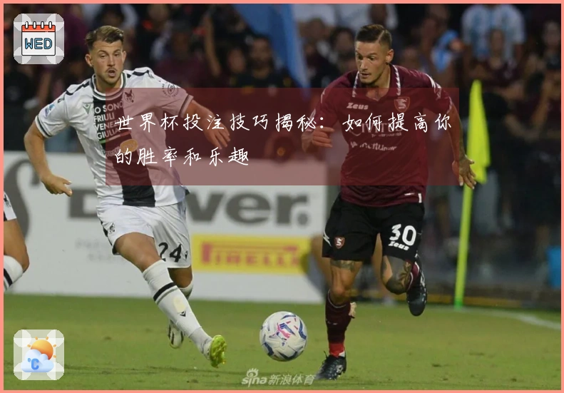 世界杯投注技巧揭秘：如何提高你的胜率和乐趣