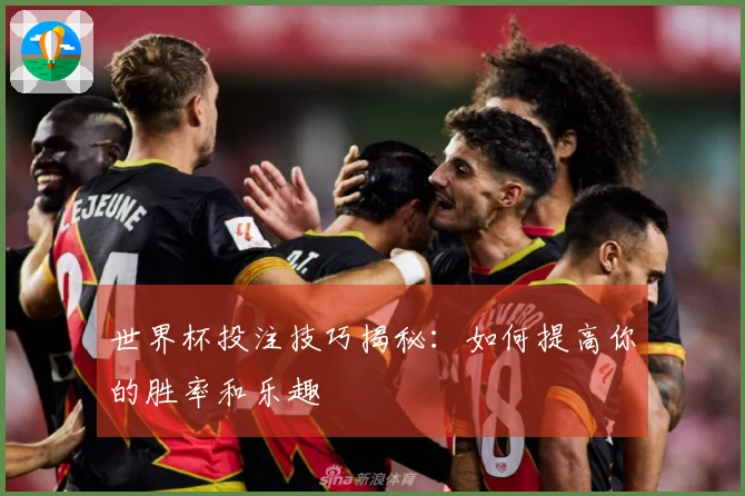 世界杯投注技巧揭秘：如何提高你的胜率和乐趣