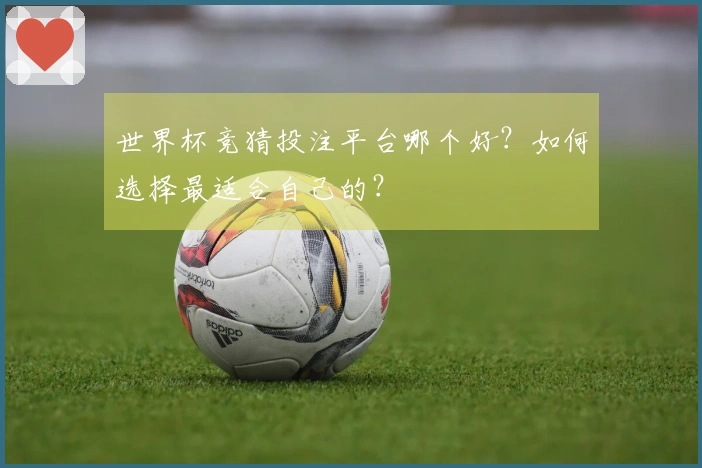 世界杯竞猜投注平台哪个好？如何选择最适合自己的？