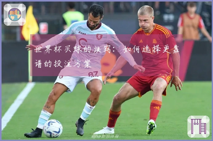 世界杯买球的诀窍：如何选择更靠谱的投注方案
