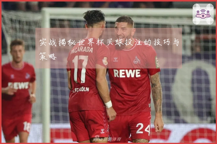 实战揭秘世界杯买球投注的技巧与策略
