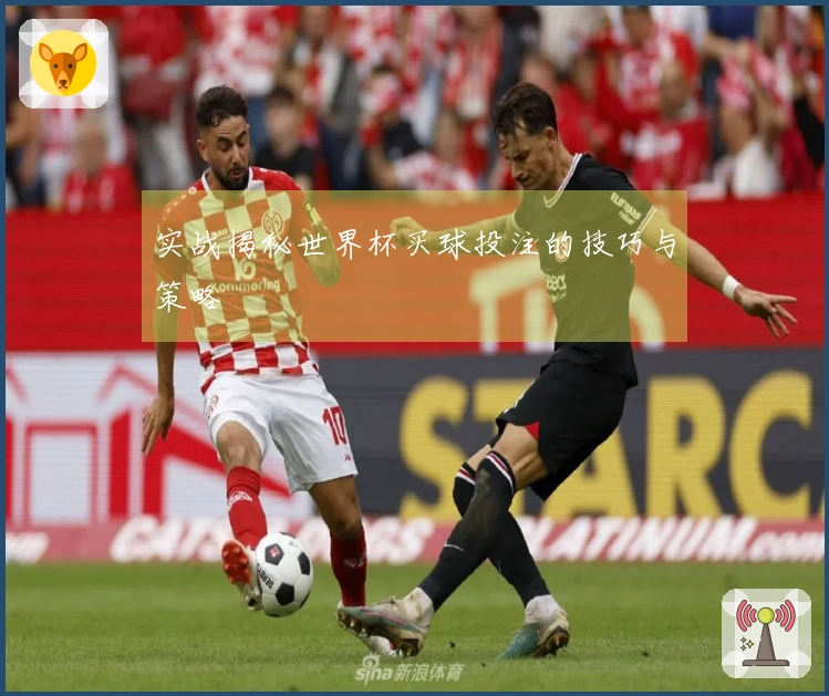 实战揭秘世界杯买球投注的技巧与策略